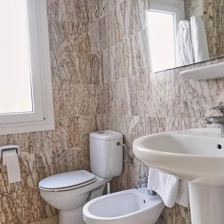 Peony By On Travel *