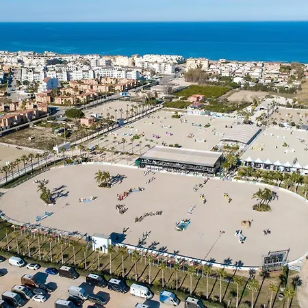 Peony By On Travel *