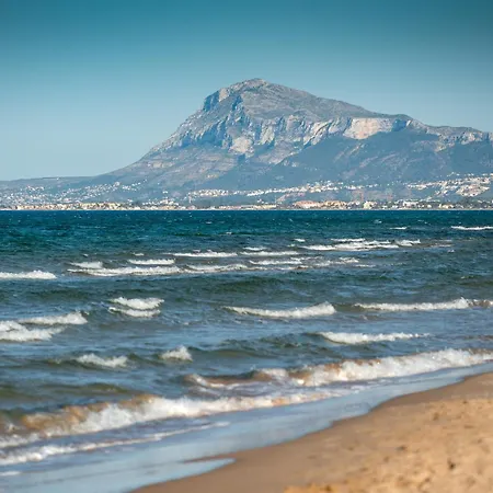 Peony By On Travel * أوليفا